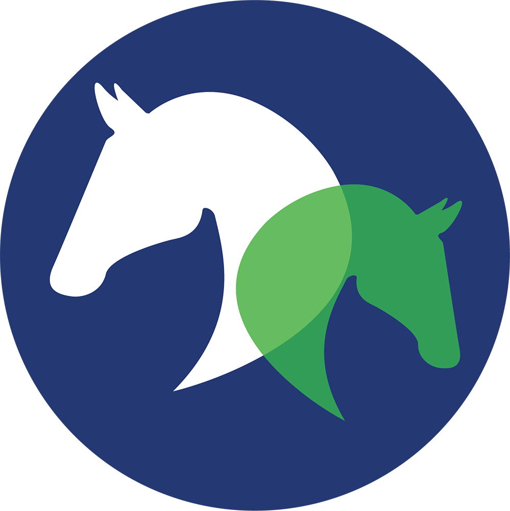paarden dierenarts paarden dierenarts